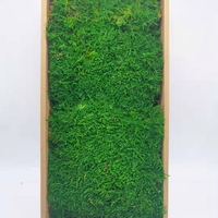 Panel Dekorasi Dinding Natal Ramah Lingkungan, Hijau Alami, Terbuat dari Rumput, Bulu Rusa, dan Lumut Terawetkan