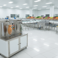 Mesin Pengupas Pepaya Stainless Steel Terlaris Mesin Pengupas Melon Mesin Pengupas Melon