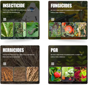 <span class=keywords><strong>Idrossido</strong></span> di Rame 50% WP, Vendita Diretta dal Produttore, Fungicidi Agricoli per Alberi di Cacao, Ortaggi, Frutta e Colture - Product Image 5