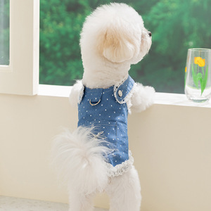 Nuova Gonna in Denim a Pois Casual Primavera Estate 2026 con Guinzaglio per Bichon Frise e <span class=keywords><strong>Cani</strong></span> di Piccola Taglia - Abbigliamento per Animali Domestici - Product Image 4