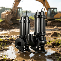 Bomba Sumergible de Drenaje de Alto Caudal 264GPM WQ 5HP SS304, Altura de Elevación 164ft, DN50, con Brida, para Aguas Residuales