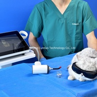 Appareil de thérapie laser haute intensité de classe IV personnalisé avec logo OEM pour centre de réadaptation animale