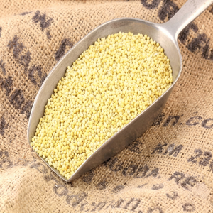 Millet jaune décortiqué 100% biologique, céréale entière naturelle sans gluten pour porridge et cuisine saine, en vente - Product Image 1