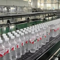 Ligne de production d'eau minérale en bouteille PET personnalisée, facile à utiliser, 12000 BPH