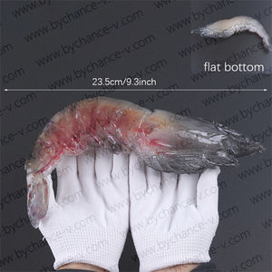 แบบจำลองปลาคอรัลทรูทเหมือนจริง สำหรับตกแต่งเมนูร้านอาหาร บุฟเฟ่ต์ และการจัดแสดงสินค้า - Product Image 4