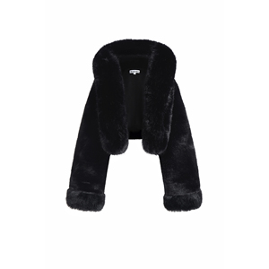 Chaqueta <span class=keywords><strong>de</strong></span> <span class=keywords><strong>piel</strong></span> <span class=keywords><strong>de</strong></span> conejo <span class=keywords><strong>de</strong></span> <span class=keywords><strong>nutria</strong></span> Artificial gruesa y cálida con capucha corta <span class=keywords><strong>de</strong></span> marca <span class=keywords><strong>de</strong></span> lujo para mujer, <span class=keywords><strong>abrigo</strong></span> <span class=keywords><strong>de</strong></span> cuello <span class=keywords><strong>de</strong></span> <span class=keywords><strong>piel</strong></span> <span class=keywords><strong>de</strong></span> zorro Artificial <span class=keywords><strong>de</strong></span> invierno - Product Image 2