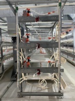 Nouvelle cage à poulets automatique de type H KangFaJiXie KF-HB1 pour poulets de chair, en matériau galvanisé, garantie 5 ans, capacité 180-240