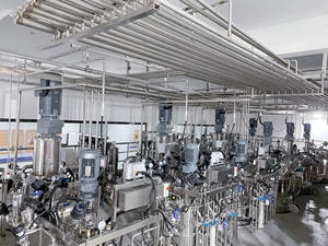 Biorreator de Aço Inoxidável de 1000L com Certificação GMP Padrão da UE, Controle Automático, Origem de Xangai, Modelo BLBIO-1000SJA-4 - Product Image 3