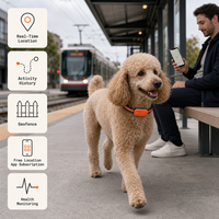Traceur GPS 4G pour animaux de compagnie, vente en gros d'usine, IP67, avec suivi de localisation en direct et fonction de clôture géographique pour chiens et chats