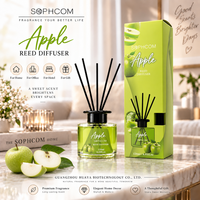 Premium 120ml Aroma Reed Diffuser met cadeauverpakking en fibersticks voor hotel, retail en op maat gemaakte geurprogramma's