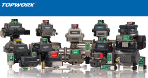 เครื่องสอบเทียบ TopWorx รุ่น DX-Series DXP/DXS DXP-L21GNEB1A3 รับประกัน 1 ปี IP66 ระบบควบคุมกระบวนการอุตสาหกรรม D TopWorx DX-Series D - Product Image 3