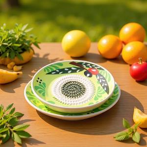 Beeman Toptan Ev Tipi Seramik El Yapımı Manuel Sarımsak Rendeleyici Hindistan Cevizi Rendeleyici Sürdürülebilir Güvenli Kolay Temizlenir - Product Image 6