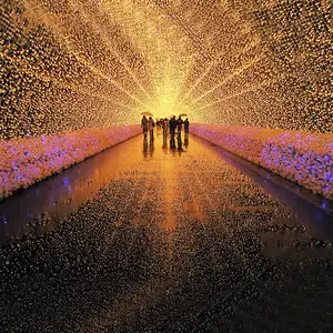 Animato 3D luminoso Tunnel arco natale luce ad arco a LED per la decorazione di atmosfera di strada all'aperto con RGB emissione di colore