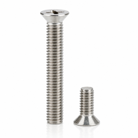 Vis à tête fraisée Phillips en acier inoxydable DIN 965 304 316 M3 M4 M5 M6 pour usage industriel