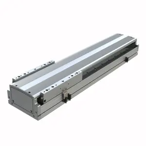 One-stop Linear Slider Module 800mm Precision Motorized Linear Stage Ball Screw Linear Actuator