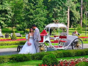 Carruaje de Caballos Clásico Romántico para Bodas con Diseño de Calabaza, Último Modelo en Venta - Product Image 3