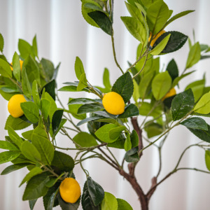 Simulación verde interior árboles artificiales en maceta limón y naranja fruta bonsái jardín al aire libre árboles frutales decorativos - Product Image 2