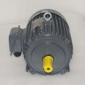 400 V 60 Hz 3000 Rpm 삼상 다람쥐 감금소 AC 비동시성 모터