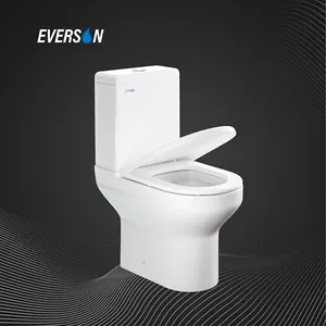 Everson P-TRAP nhà vệ sinh