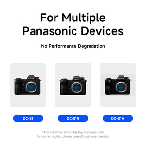 Batterie DMW-BLJ31 pour appareils photo sans miroir LUMIX S1/S1R/<span class=keywords><strong>S1H</strong></span> 3350mAh Lithium 7.4V en stock remplacement certifié ROHS - Product Image 3