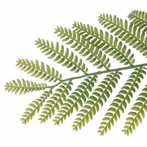 Árbol Artificial de <span class=keywords><strong>Jacaranda</strong></span> de 220 cm de Altura, Planta Tropical de Interior, Árboles Decorativos para el Hogar y la Oficina - Product Image 2