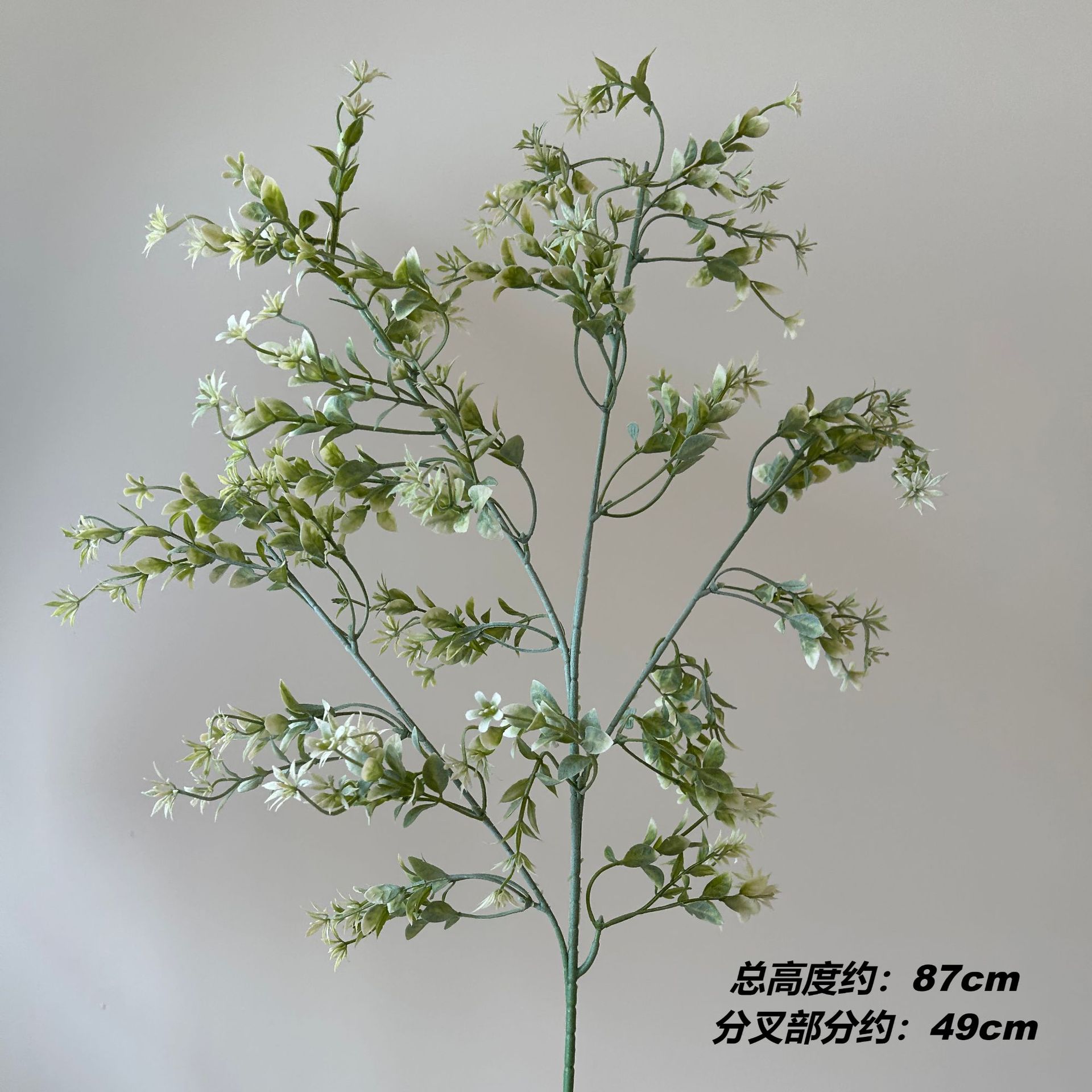 Erba della felicità a tre punte Dt