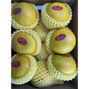 Quotidien <span class=keywords><strong>Vitamin</strong></span> Boost Agrumes Frais Wuyan Mandarine Orange Aigre Doux Saveur Certifié G.A.P 8cm - Product Image 1