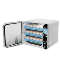 Petit incubateur de poulets domestique entièrement automatique intelligent avec lit d'eau, modèle FHQ1007, design rectangulaire pour poussins
