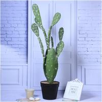 Décorations artificielles de cactus suspendus, verdure artificielle, fleurs écologiques pour Thanksgiving, mariages et remises de diplômes