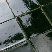 Mosaico de Azulejos de Cerámica Verde Brillante Moderno Antideslizante de 10x10cm para Paredes y Pisos Interiores de Baños