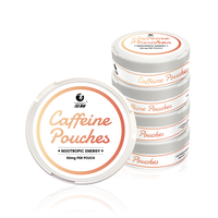 Pochette énergétique sans tabac, mélange d'herbes, caféine longue durée, pour arrêter de fumer