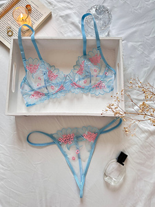 Penjualan laris Set celana dalam Bra seksi malam sejuk bordir bunga jaring elegan seksi - Product Image 2