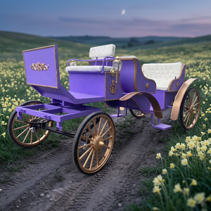 Vente en gros usine : Carrosse électrique de tourisme violet 'Rêve Romantique' pour entreprises - Product Image 1