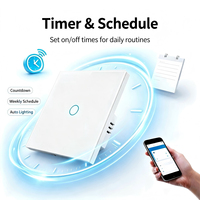 Interruptor de Pared Táctil Inteligente WiFi UBARO Tuya, Cable de Alimentación Único, Marco de Hierro, Panel de Vidrio de Lujo, Control por Voz con Alexa, Google, Yandex y Alice