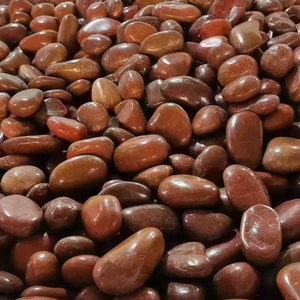 Decorative Natural <strong>River</strong> Pebbles, Mixed Color Polished Garden <strong>Stones</strong>, Non-Toxic Eco-Friendly for Landscaping &amp; Plant Cover - Product Image 3