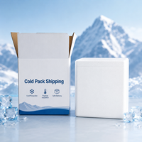 Boîte d'expédition isotherme personnalisée en carton ondulé pour la chaîne du froid, emballage pour aliments et produits pharmaceutiques, livraison à température contrôlée