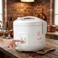 Autocuiseur Électrique de Luxe en Gros 1.0L 1.5L 1.8L 2.2L 2.8L à Motif Floral, Automatique, Antiadhésif, Appareil de Cuisine pour la Maison