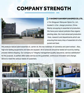 Biji bunga matahari biji Flaxseed organik alami murni minyak Wheatgerm pembawa minyak alami grosir kualitas kosmetik - Product Image 6