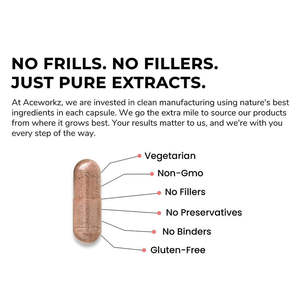 Vente en gros de poudre d'extrait de champignon Tremella Capsule de champignon Tremella Capsules d'extrait de champignon Tremella - Product Image 5