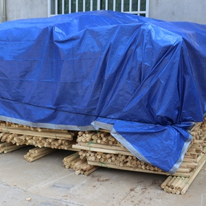<span class=keywords><strong>Bâche</strong></span> PE au <span class=keywords><strong>sol</strong></span> de <span class=keywords><strong>camping</strong></span> robuste imperméable 6 '* 6' 12 'x 12' tapis de <span class=keywords><strong>sol</strong></span> en <span class=keywords><strong>bâche</strong></span> - Product Image 4