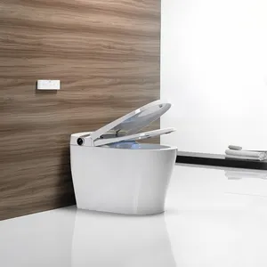 DA90 110V 220V Self Open Smart Toilet Automatic 1 Piece Ceramic Intelligent Toilets