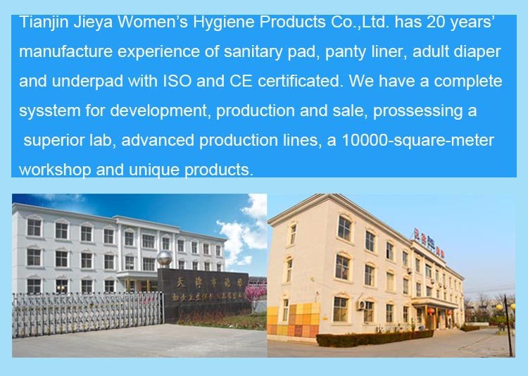 Sanitary Napkins Anion Odor Control Chip Sanitary Pads for Ladies