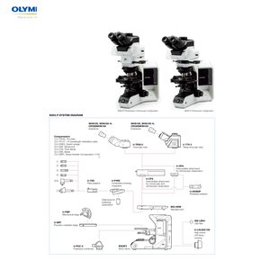 <strong>Olympus</strong> BX53P <strong>Trinocular</strong> Polarizing <strong>Microscope</strong> BF POL DIC Observation Features LED Illumination IP54 Rated 1920x1080 Resolution - Product Image 2