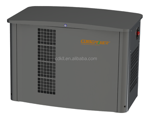 एपा एडेल ने 15kw 20kw पानी ठंडा साइलेंट प्रकार स्टैंडबाय पावर प्राकृतिक गैस एलपीजी जनरेटर को घर के उपयोग के लिए सेट किया - Product Image 1