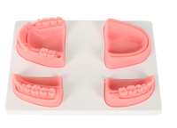 Kit de formation scientifique médicale DARHMMY BOU/L22, module de pratique de suture des dents et des gencives pour les études pratiques des étudiants