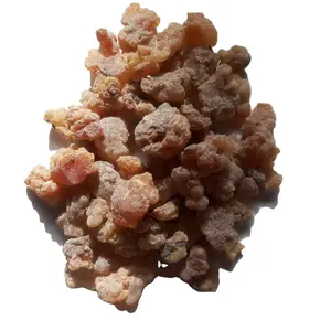 Wholesale Ru Xiang Pure dried red hojari oman frankincense grains for sale