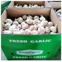 2021 nova china legumes frescos alho branco e alho vermelho em preço a granel para a exportação