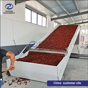 Nouvelle ligne de production de séchage à bande transporteuse industrielle pour le séchage des tranches de citrouille, des épiques d'asperges et des choux de Bruxelles - Product Image 5