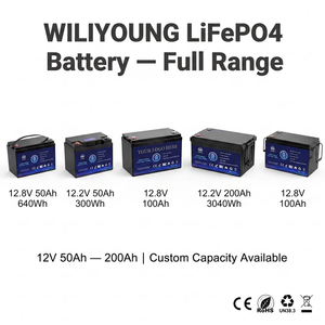 Batterie LiFePO4 rechargeable haute sécurité 12,8 V pour boîtiers de charge et outils d'irrigation de jardin - Product Image 5