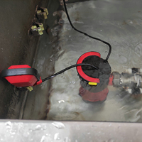 Pompe de drainage submersible électrique 900W 17000L/h en plastique pour eaux usées avec interrupteur à flotteur automatique pour jardin et cave inondée